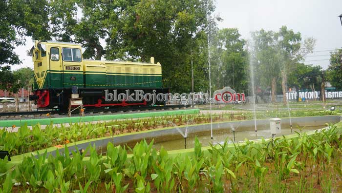 RTH di Kota Cukup, Kini Fokus Tanam Pohon di Kecamatan
